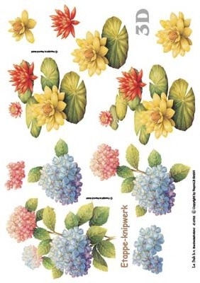 4169033 Hortensia en waterlelie