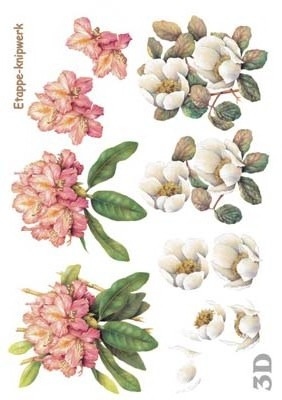 4169045 Diverse Bloemen