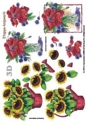 4169055 Zonnebloemen en Klaprozen