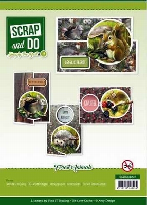 SCDOSB009 Scrap and Do Simply the Best - Amy Design