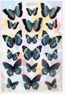3D Cutting Sheets - WOC - nr 03 - Blue Butterflies
