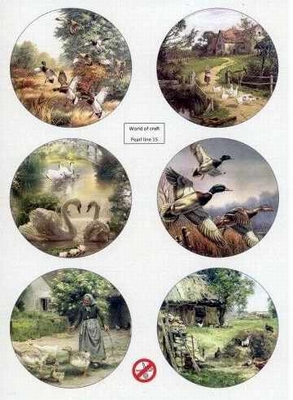 WOCPL015 Scenery Parelmoer -Birds - Round
