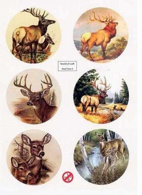 WOCPL004 Scenery Parelmoer - WOC - nr04 - Deer - Round