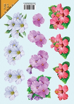 PO1037 Push Out Bloemen