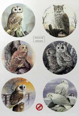WOCPL8 WOC Scenery Winter Birds 1 - Round