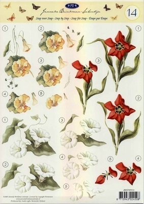 JBS14 Janneke Brinkman Bloemen  per 10 vel