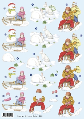VB2621 Winterpret per 10 vel