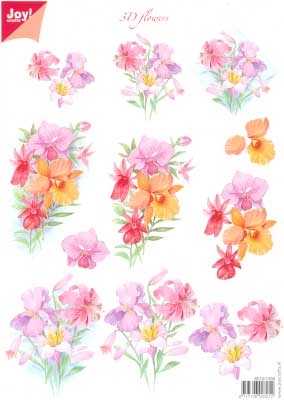 60101008 Joy 3D Bloemen