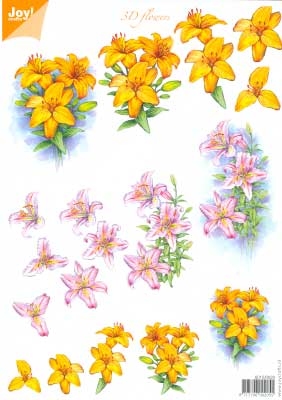 60100023 Joy 3D Bloemen