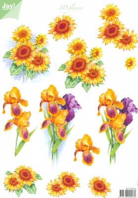 60100024 Joy 3D Bloemen