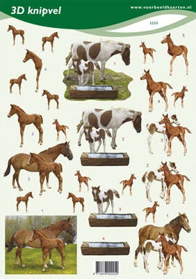 VB2225 3D Paarden