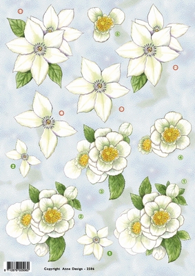 VB2506 Bloemen