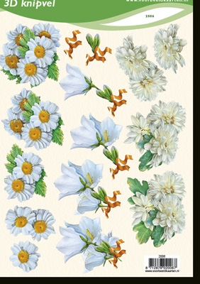 VB2006 Bloemen