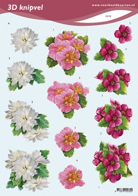 VB2030 Bloemen