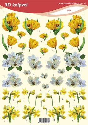 VB2078 Bloemen/Narcissen