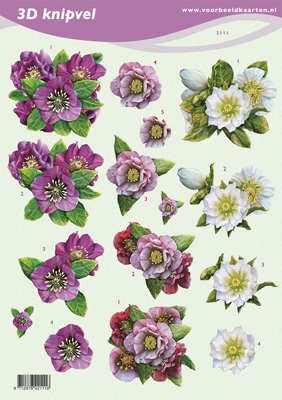 VB2111 Bloemen