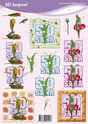 VB2121 50 jr. Sara