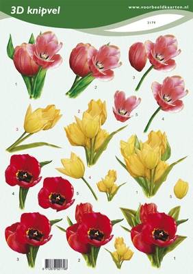 VB2179 Voorjaarsbloemen