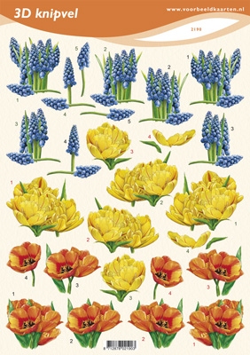 VB2190 Bloemen