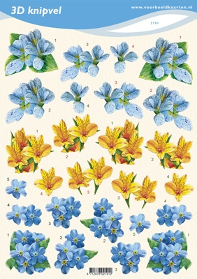 VB2191 Bloemen