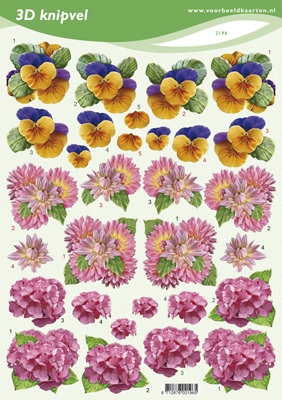 VB2196 Bloemen