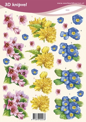 VB2223 Bloemen