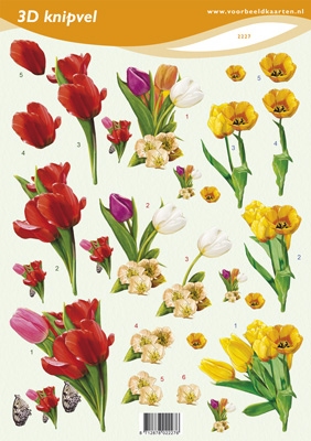 VB2227 Bloemen