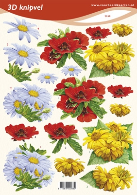 VB2268 Bloemen