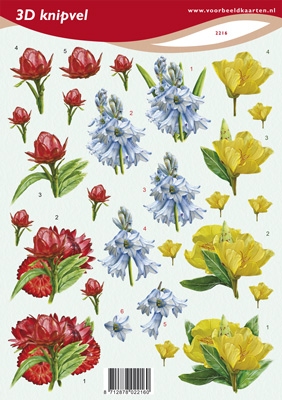 VB2216 Bloemen