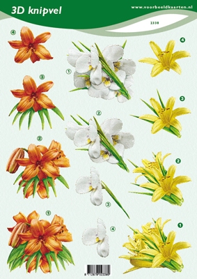 VB2338 Bloemen