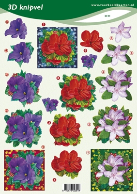 VB2351 Bloemen