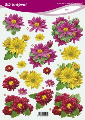 VB2423 Bloemen