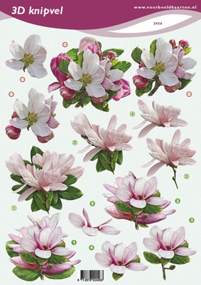 VB2426 Bloemen