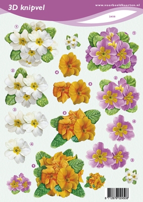 VB2450 Bloemen