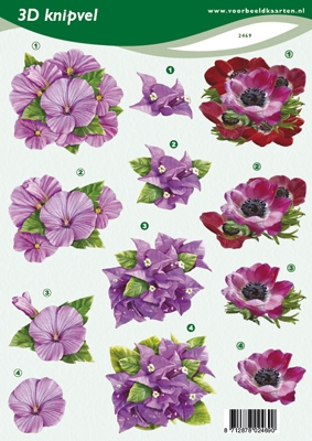 VB2469 Bloemen