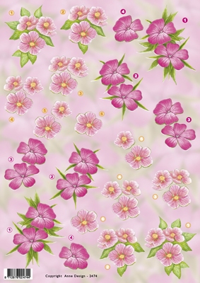 VB2474 Bloemen