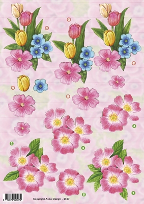 VB2507 Bloemen