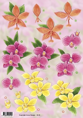 VB2510 Bloemen