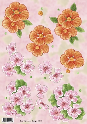 VB2511 Bloemen