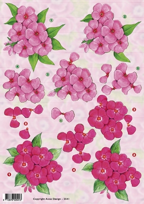 VB2541 Bloemen