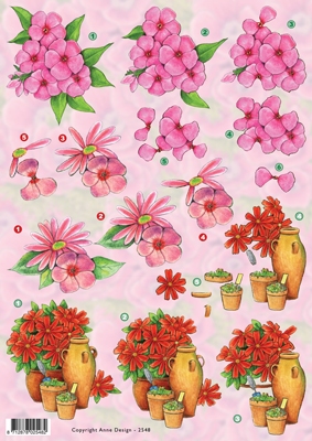 VB2548 Bloemen