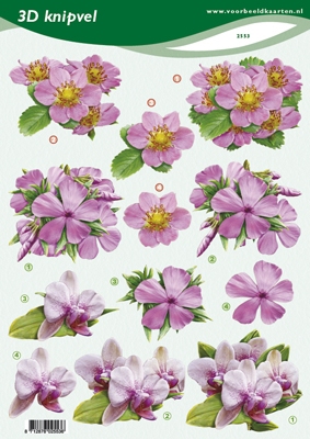 VB2553 Bloemen