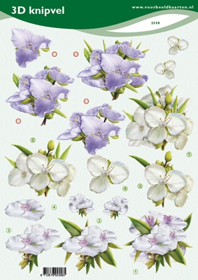 VB2558 Bloemen