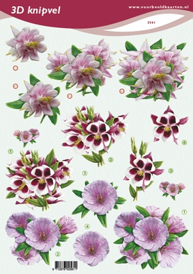 VB2561 Bloemen