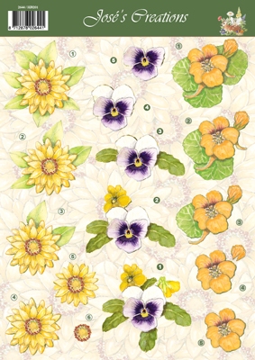 VB2644 Bloemen