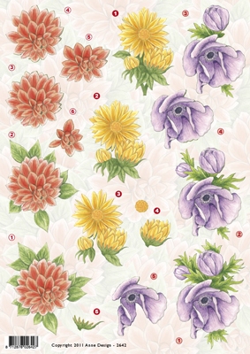 VB2642 Bloemen