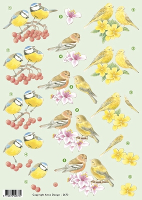 VB2673 Vogels