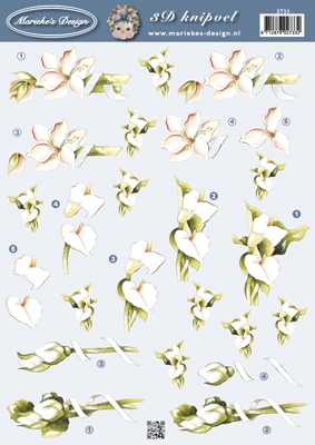 VB2733 Marieke Bloemen