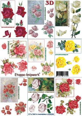 4169290 Bloemen