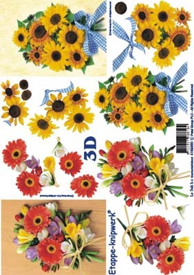 4169360 Bloemen